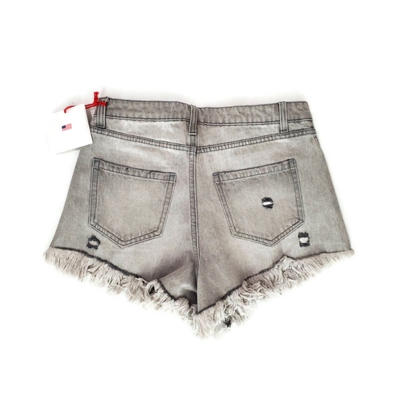 Toast Jeans Women's Gray Frayed Hem High Rise Shorts Size Small NWT - Picture 2 of 9